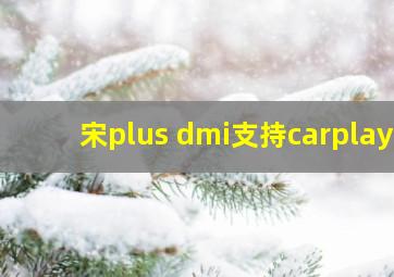 宋plus dmi支持carplay